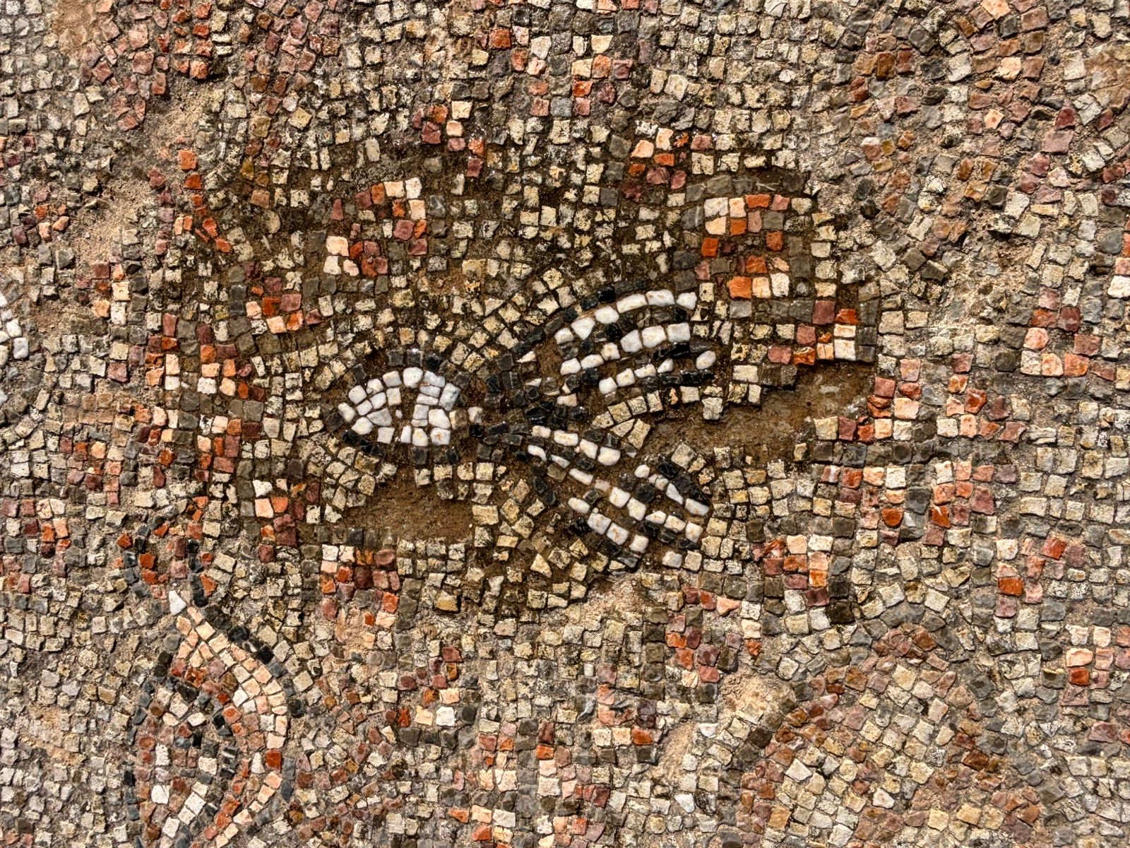 WhatsApp%20Image%202026-03-04%20at%2018.45.48